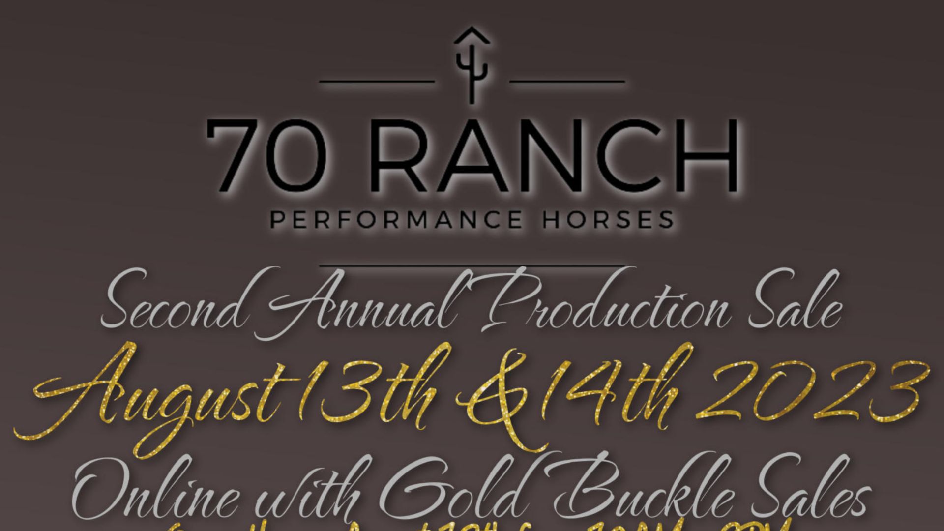 Professional Online Horse Auction Horses for Sale Gold Buckle Horse