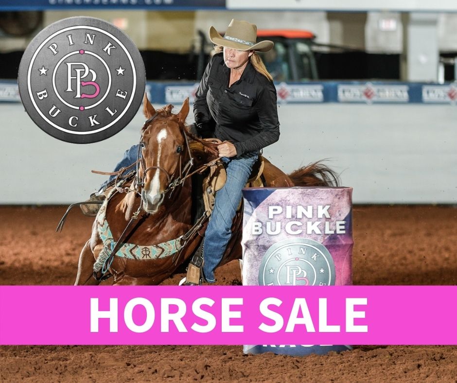 Horse Auctions & Horse Auction Services Gold Buckle Horse Sales